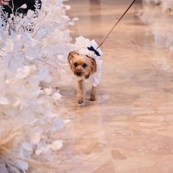 キンプトン新宿東京の写真10枚目