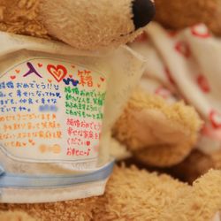 キャメロットヒルズの写真28枚目