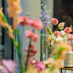 Mia Viaの写真28枚目