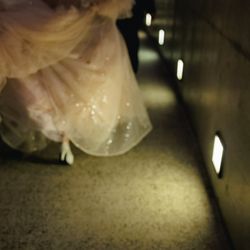 Mia Viaの写真14枚目