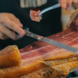 エネコ東京の写真28枚目