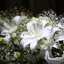 グランド ハイアット 東京の写真18枚目