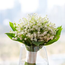 パレスホテル東京の写真24枚目