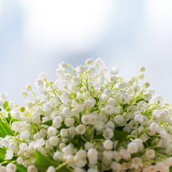 パレスホテル東京の写真1枚目