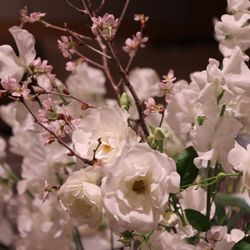 パレスホテル東京の写真35枚目