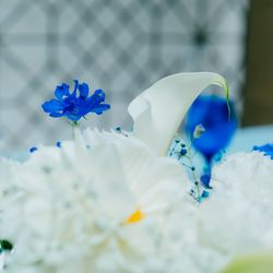 アニヴェルセル 表参道の写真8枚目