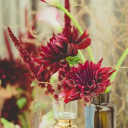 ル・グラン・ミラージュ ONE & ONLYの写真24枚目