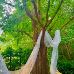 鶴見ノ森 迎賓館の写真24枚目