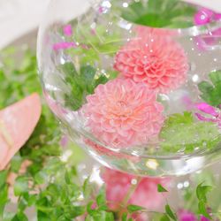 ルーキスの写真25枚目