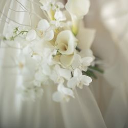 コンラッド大阪の写真12枚目