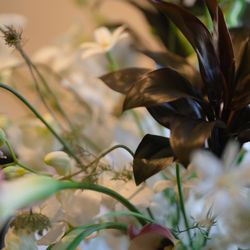 ザ・ガーデンオリエンタル大阪の写真24枚目