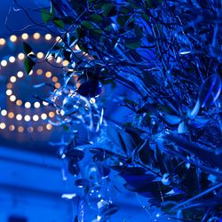 パレスホテル東京の写真4枚目