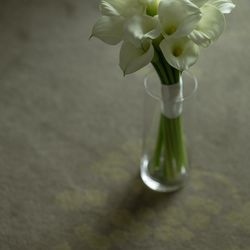 パレスホテル東京の写真11枚目