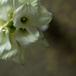 パレスホテル東京の写真32枚目