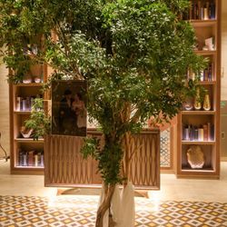 ザ・テンダーハウスの写真34枚目