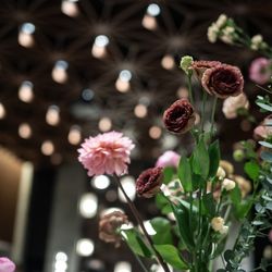 ラソールガーデン熊本の写真32枚目