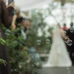 TOASTの写真19枚目