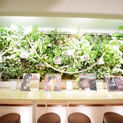 The Forest of Loldの写真5枚目