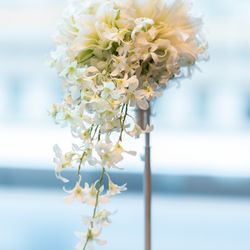 東京會舘の写真6枚目