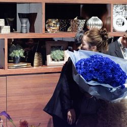 ラグナヴェール プレミア  LAGUNAVEIL PREMIERの写真34枚目