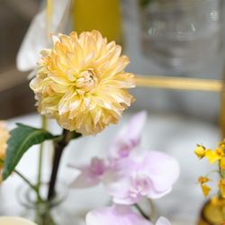 ラグナヴェール プレミア  LAGUNAVEIL PREMIERの写真34枚目