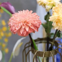 ラグナヴェール プレミア  LAGUNAVEIL PREMIERの写真23枚目