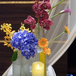 ラグナヴェール プレミア  LAGUNAVEIL PREMIERの写真13枚目