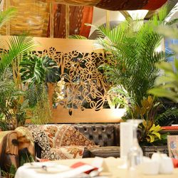 The Forest of Loldの写真5枚目