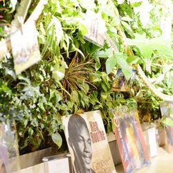 The Forest of Loldの写真9枚目