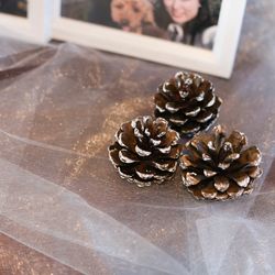 ララシャンスガーデン 東京ベイの写真14枚目