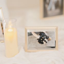 ザ・ガーデンオリエンタル大阪の写真3枚目