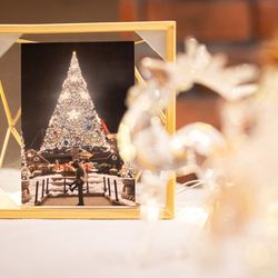 カサ・デ・アンジェラの写真6枚目