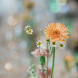 ホテル椿山荘東京の写真33枚目