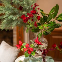 リストランテASOの写真33枚目