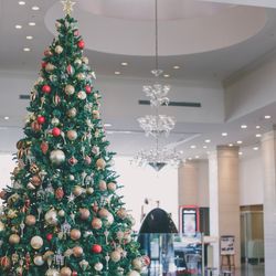 ウェスティンホテル大阪の写真13枚目