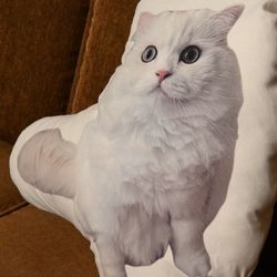 ウェスティンホテル大阪の写真27枚目