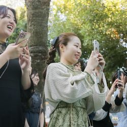 アルタビスタ ガーデンの写真35枚目