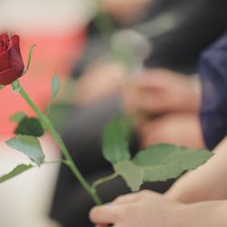 アルタビスタ ガーデンの写真28枚目