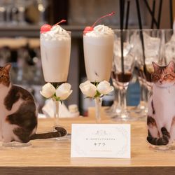 ハートコート横浜の写真30枚目