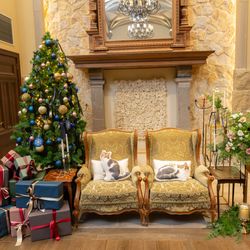 ハートコート横浜の写真3枚目