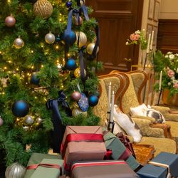 ハートコート横浜の写真36枚目