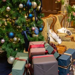 ハートコート横浜の写真16枚目