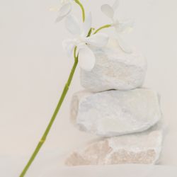 ザ ナンザンハウスの写真33枚目