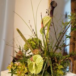 ザ ナンザンハウスの写真15枚目