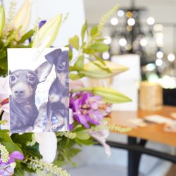 ヴィラ・デ・マリアージュ 軽井澤の写真17枚目