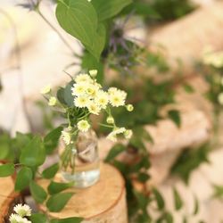 ヴィラ・デ・マリアージュ 軽井澤の写真23枚目