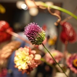 TRUNK HOTELの写真13枚目