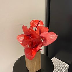 TRUNK HOTELの写真3枚目