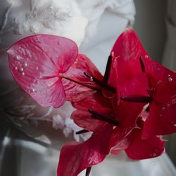 TRUNK HOTELの写真34枚目