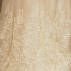 グラストニアの写真10枚目